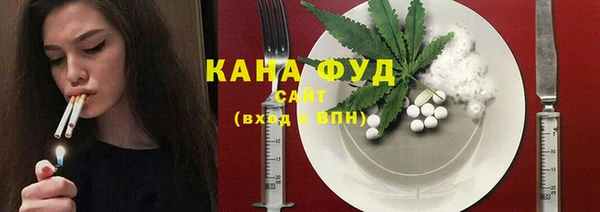 молекула духа Тында