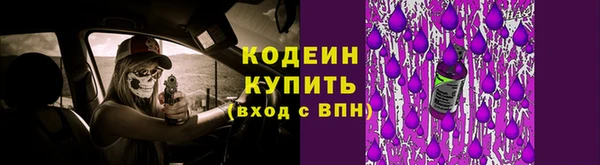 молекула духа Тында