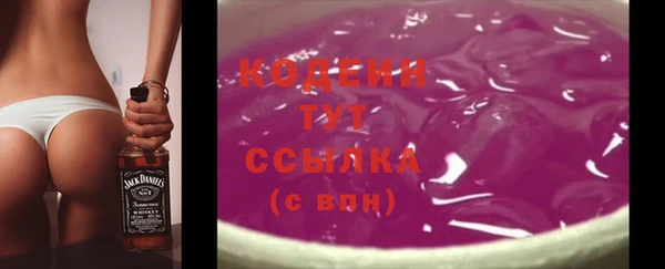 молекула духа Тында