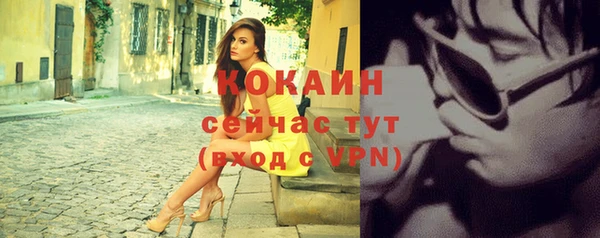 apvp Туринск