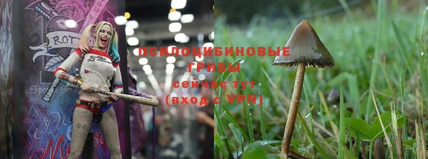 apvp Туринск