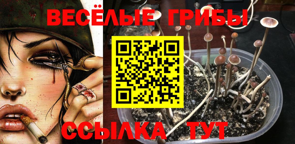 Псилоцибиновые грибы мухоморы  Ярцево 