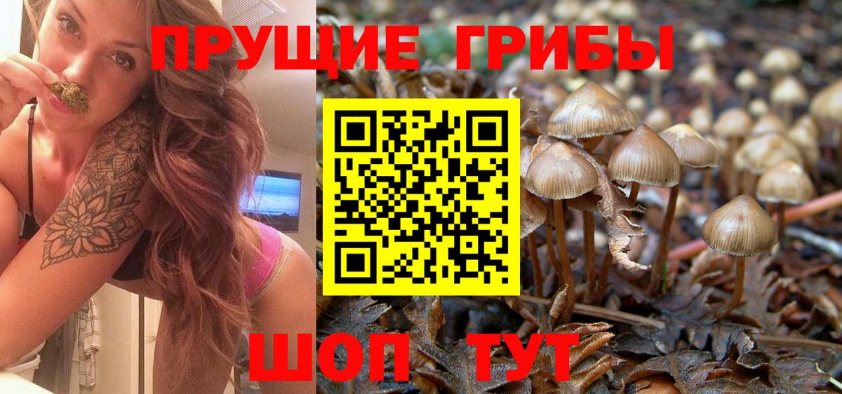 Псилоцибиновые грибы мухоморы  Вход с VPN  Ярцево 