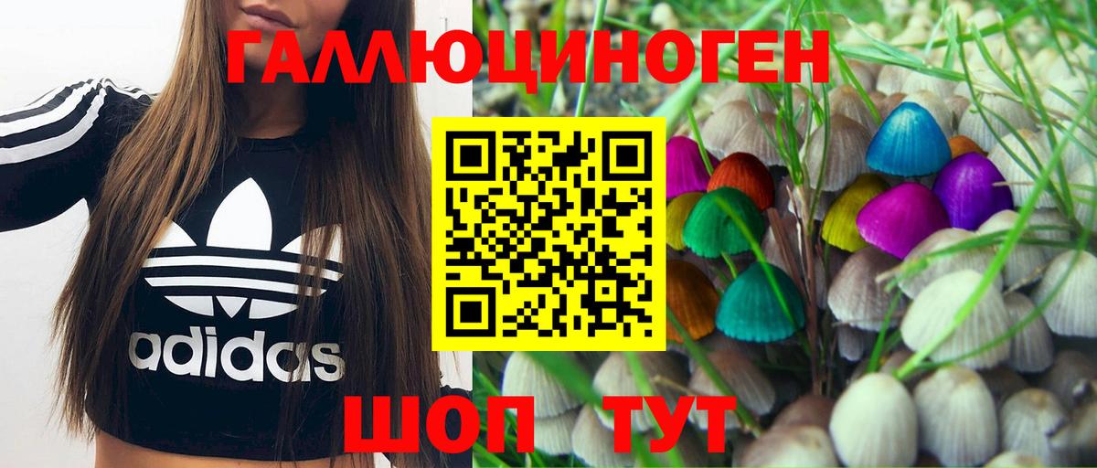 Псилоцибиновые грибы GOLDEN TEACHER Ярцево