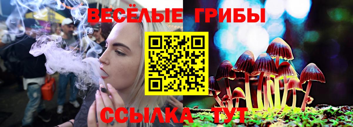 Псилоцибиновые грибы мицелий Ярцево