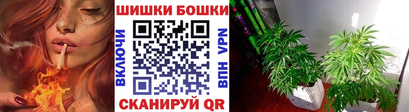 Бошки Шишки Ganja что такое наркотик Ярцево